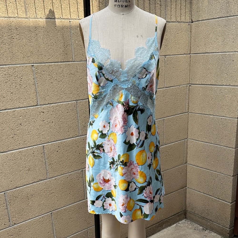 VICTORIA’S SECRET | Women’s M Light Blue Lemon Floral Chemise Slip Lace Dress - Picture 3 of 10